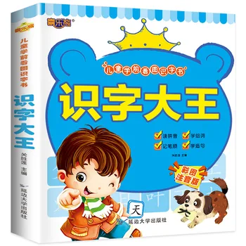 Hiina Märkide Õppimisele Raamatuid, Varase Hariduse Eest, Eelkooliealised Lapsed Sõna Kaardid Koos Pilte Ja Pinyin Lauseid Kirjaoskuse Libros