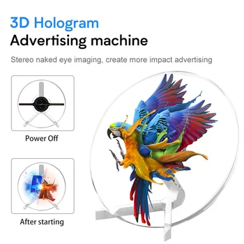 25cm Palja Silmaga Holograafiline Projektsioon Reklaami Masin Töölaua 3D Fänn Wifi LED Logo Reklaam Light Player Tekst, Pilt, Audio