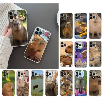 Telefon Case For iphone 14 Pro Max 13 12 11 Pro Max XS XR X 12 13 mini 7 8 14 Pluss 7 8 SE Armas Loom Capybara Juhul Funda